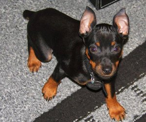 4964_533254596939_8181765_n